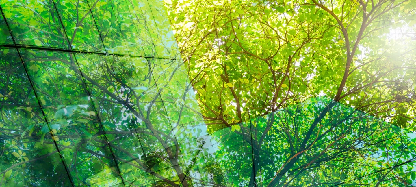 Media item displaying SEC Adopts Final Version of Climate Change Disclosure Rules