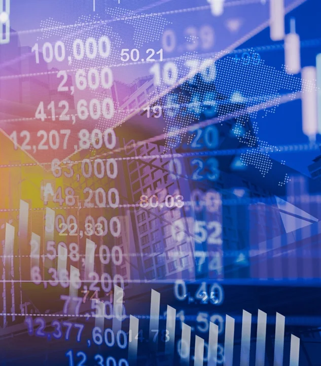 Portfolio Monitoring Portfolio Monitoring