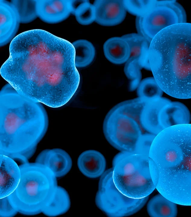 North Carolina Woman’s HER2 Cancer Misdiagnosis Has G&E Attorneys Questioning “Care and Culture” at Atrium Health Wake Forest Baptist Medical Center